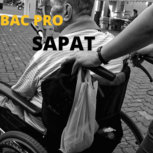 Bac PRO SAPAT