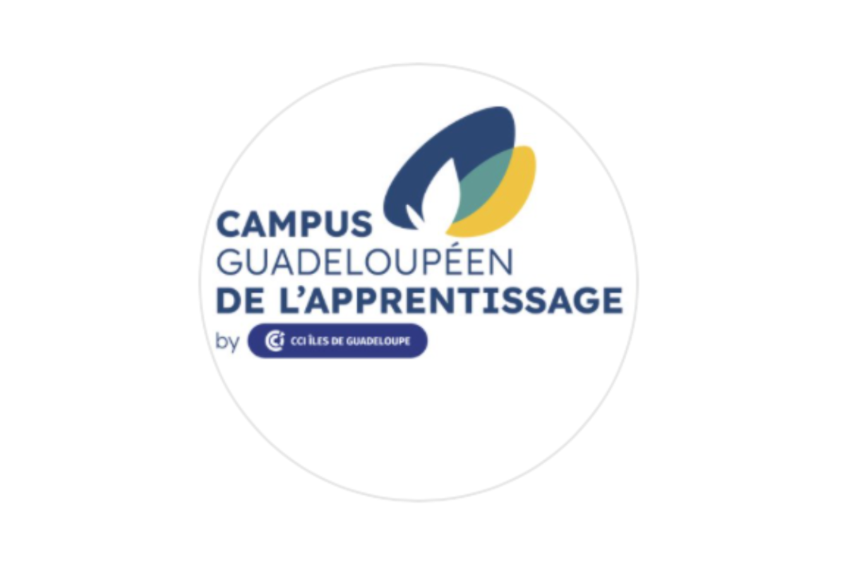 Campus-Guadeloupeen-de-lApprentissage-2-1200x800