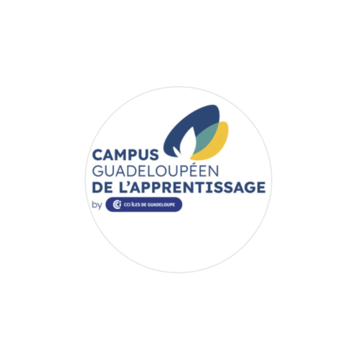 Campus-Guadeloupeen-de-lApprentissage-2