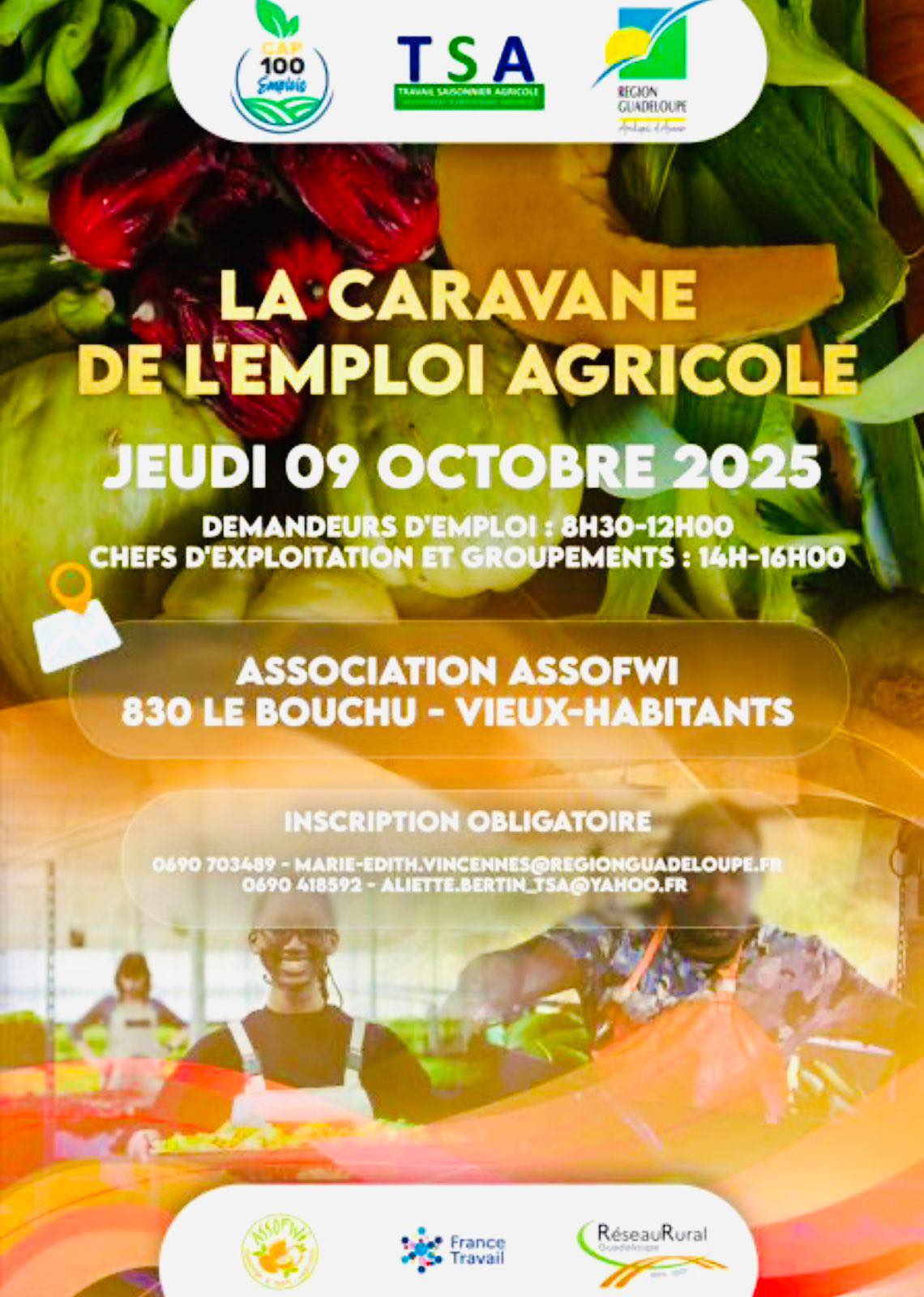 Caravane de l'emploi Agricole à Vieux Habitants