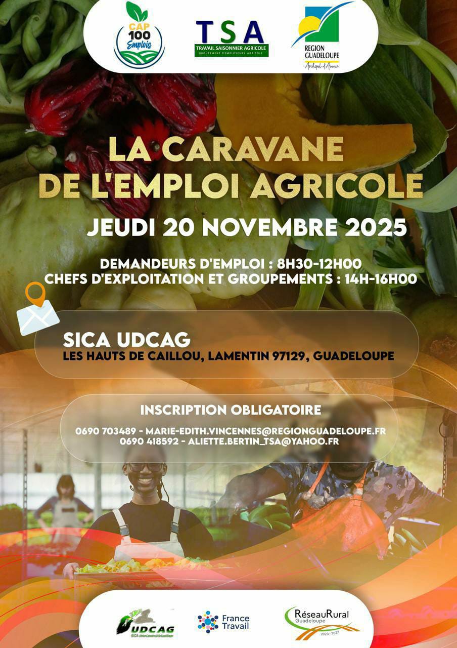 Caravane de l'emploi