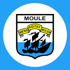 Logo Ville du Moule
