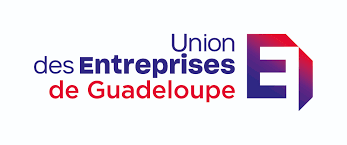 UDE MEDEF LOGO