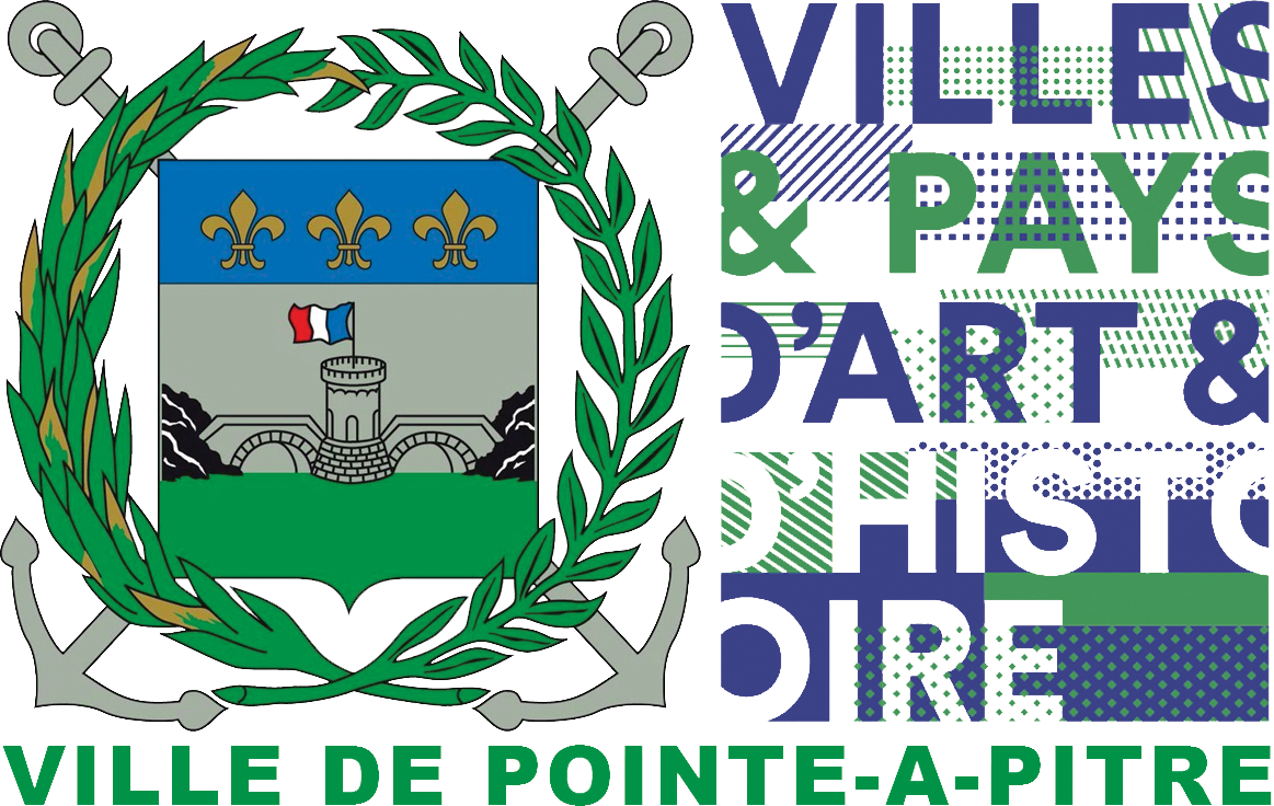ville-pointe-c3a0-pitre